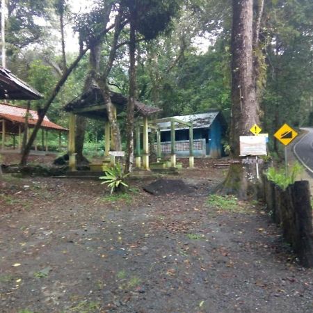 Ijen Mansjestic B&B Tamansuruh Exteriör bild