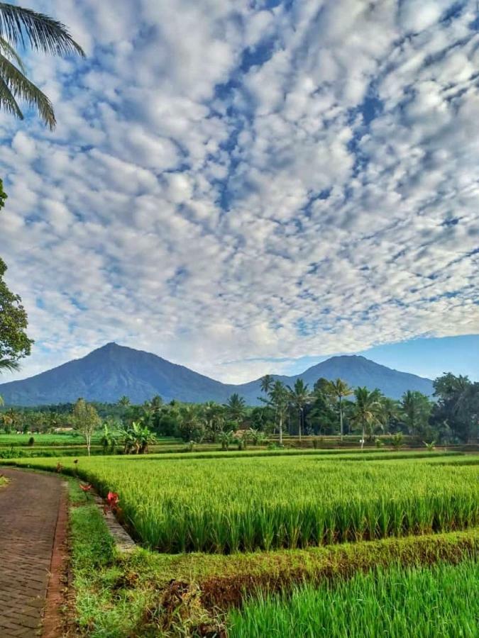 Ijen Mansjestic B&B Tamansuruh Exteriör bild