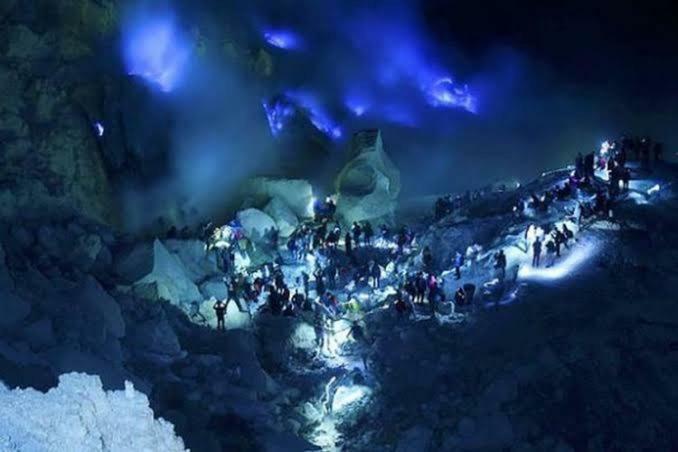 Ijen Mansjestic B&B Tamansuruh Exteriör bild